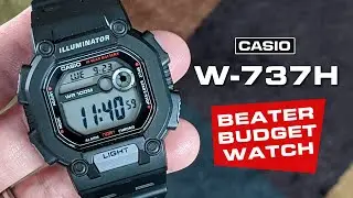 Casio W-737H &mdash; новейшие бюджетные часы всего за 20 долларов!