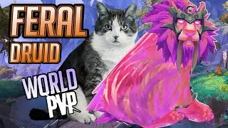 I'm Basically a Mountain Lion | Feral Druid | WoW Dragonflight PVP