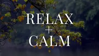 Meditation with Rain Sounds | Mindfulness, Stress Relief, Sleep & Relaxation
