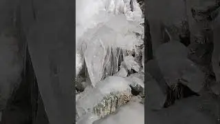 #icevideo #omg