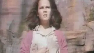 Fortress Trailer