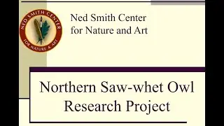Sandy Lockerman: Northern Saw whet Owl Migration Project