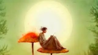SUNSET Rainforest Soundscape Relaxing  Flute Melodies