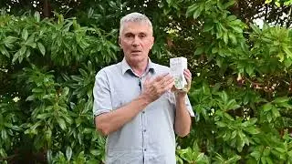 Софора Японская для здоровья вен  Рассказывает Геннадий Гарбузов