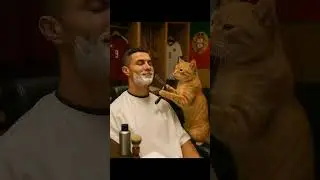 barber cat with ai #ai #funny #cartoon #shortvideo