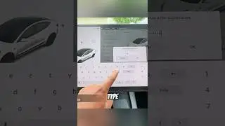 How to Access Teslas Secret Menu