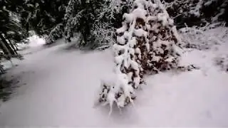 2020 01 18 Ausable chasm in winter