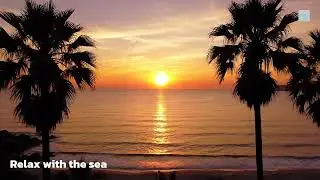 🎧 Music Relax Sea Night Piano – เสียงเปียโนใต้แสงจันทร์ริมทะเล