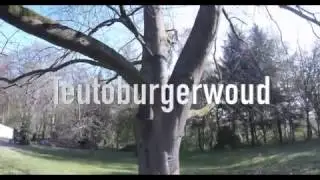 Bergtraining Teutoburgerwoud