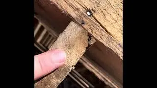 How to identify oak pallets for repurposing