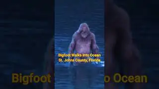 Bigfoot Walks into Ocean