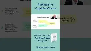 Two Fundamental Brain Needs for Energy and Aging You Should Know About