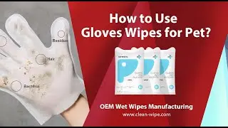 Top Gooming Bath Glove Wipes for Cats Dogs China Manufacturer: How to Use  Gloves Wipes for Pet?