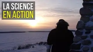 Faune et polluants toxiques &ndash; Partie 5 | La science en action