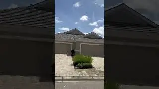 26 августа 2025 года 💚🌞🌺 #life #мотивацияивдохновение #love #video #happy #today