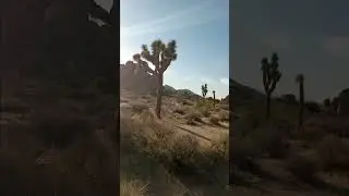 JTNP