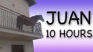 Juan 10 Hours