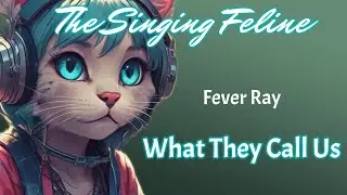 Fever Ray - What They Call Us | Karaoke Version by The Singing Feline