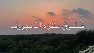 Mangrove Eco Park منتزه نبات القرم (المانجروف) البيئي