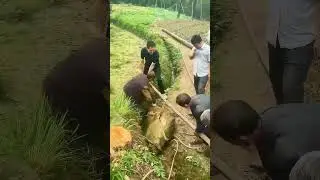 5 People Lift a Giant Pot Together! The Perfect Coordination of Traditional Rural Labor