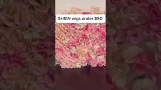 SHEIN wigs under $50! #sheinwigs #sheinhaul #affordablewigs #fyp