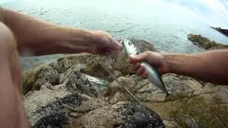 North Wales fishing - Aberdaron