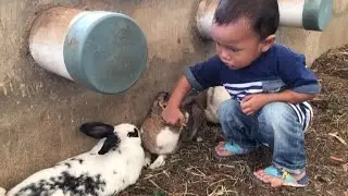 Memberi makan kelinci wortel di Kuntum Farmfiled Bogor