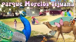 Parque Morelos Tijuana, Baja California  / zool&oacute;gico Tijuana B.C