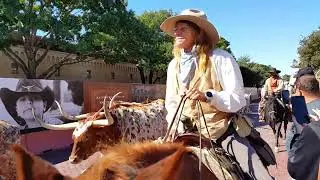 81 Running the Longhorn steers at the Fort Worth stockyards