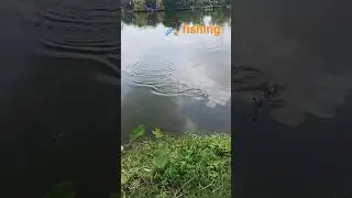 hook fishing #fishing #fishtrap #bigfish #viral #shorts #fishcutting #fishtraping#biggfishhook#fish