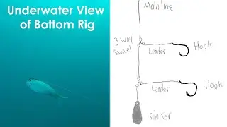 Underwater Look of Sliding Egg Sinker Fishing Rig versus Knocker Fishing Rig