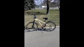 Велосипед Wheeler Buddy 30