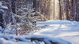 ИСЦЕЛЕНИЯ ОТ БОГА 🙏МОЛИТВА В ХОЛОДНОМ ЛЕСУ 🙏
