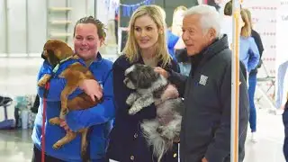 Finding FurEver Homes at Patriot Place Pet Adoption Event | Patriots In The Community