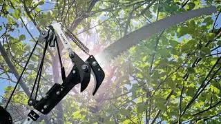 Die FenWi Astschere im Einsatz mit Teleskopstange - Baumpflege und Baumschnitt mit der Raupenschere