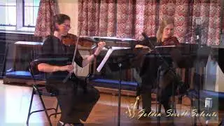Con Te Partiro (Time To Say Goodbye) - String Quartet Cover