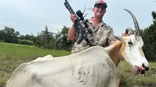 Culling The Heard And Predator Control