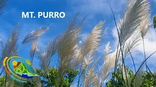 Mt. Purro Loop, Antipolo, Rizal, Philippines | Trail Running
