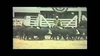 NCHA Open Futurity Runs 1979-1993