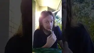 (Mold) 2 Live Resin Carts By M&uuml;v - Cold Fusion and Miracle Fruit - The First Impressions #60