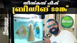 How to Set Up a Discus Fish Breeding Tank MALAYALAM | 18x18x18