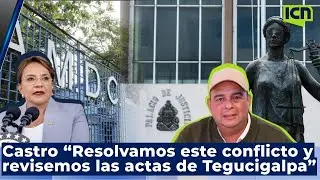 Castro: revisión de actas de Jorge Aldana es clave para dar tranquilidad al pueblo hondureño