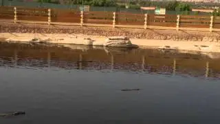 Crocopark