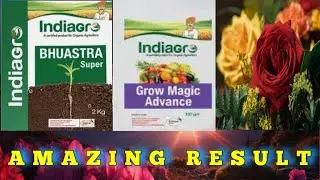 India Grow Product Result | Grow Magic Advance | Bhuastra Super