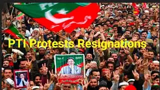 PTI Protest Movement Resignations 