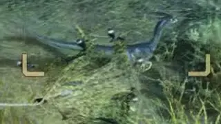 Monster Hunter Wilds Beta: my first rare Endemic (Black Windrustler)