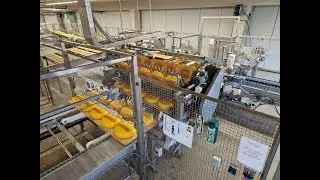 Online auction cheese processing, ripening, packaging and other inventory FrieslandCampina