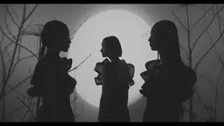 The Black Forest Witches