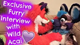 EXCLUSIVE FURRY INTERVIEW with WILD ACAI  ⁽ⁿˢᶠʷ⁾