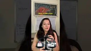Freebies destroying Indian middle class!